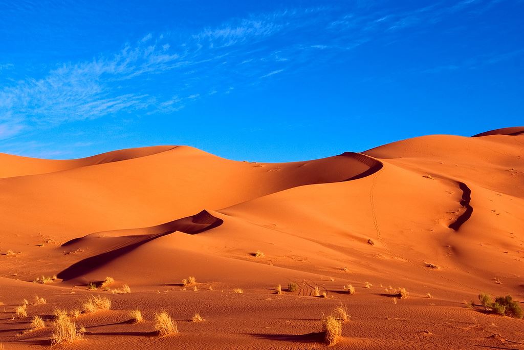 Sahara Desert Morocco