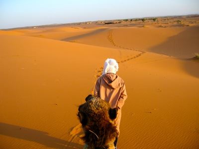 Customized Morocco Tours