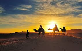 Why Choose Private Tours by Flawless Travel in Morocco